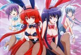 BUY NEW night wizard - 159814 Premium Anime Print Poster